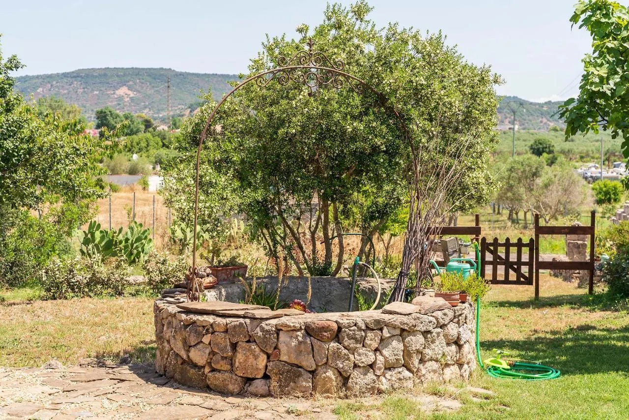 Open Space Accommodation Αλγκέρο
